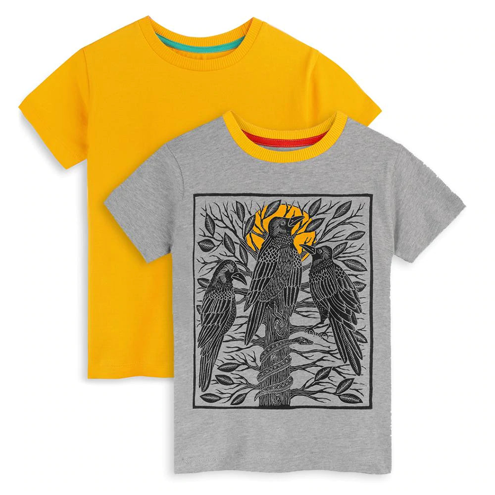 Organic Cotton Kids Graphic Tee 2-Pack  - FINAL SALE