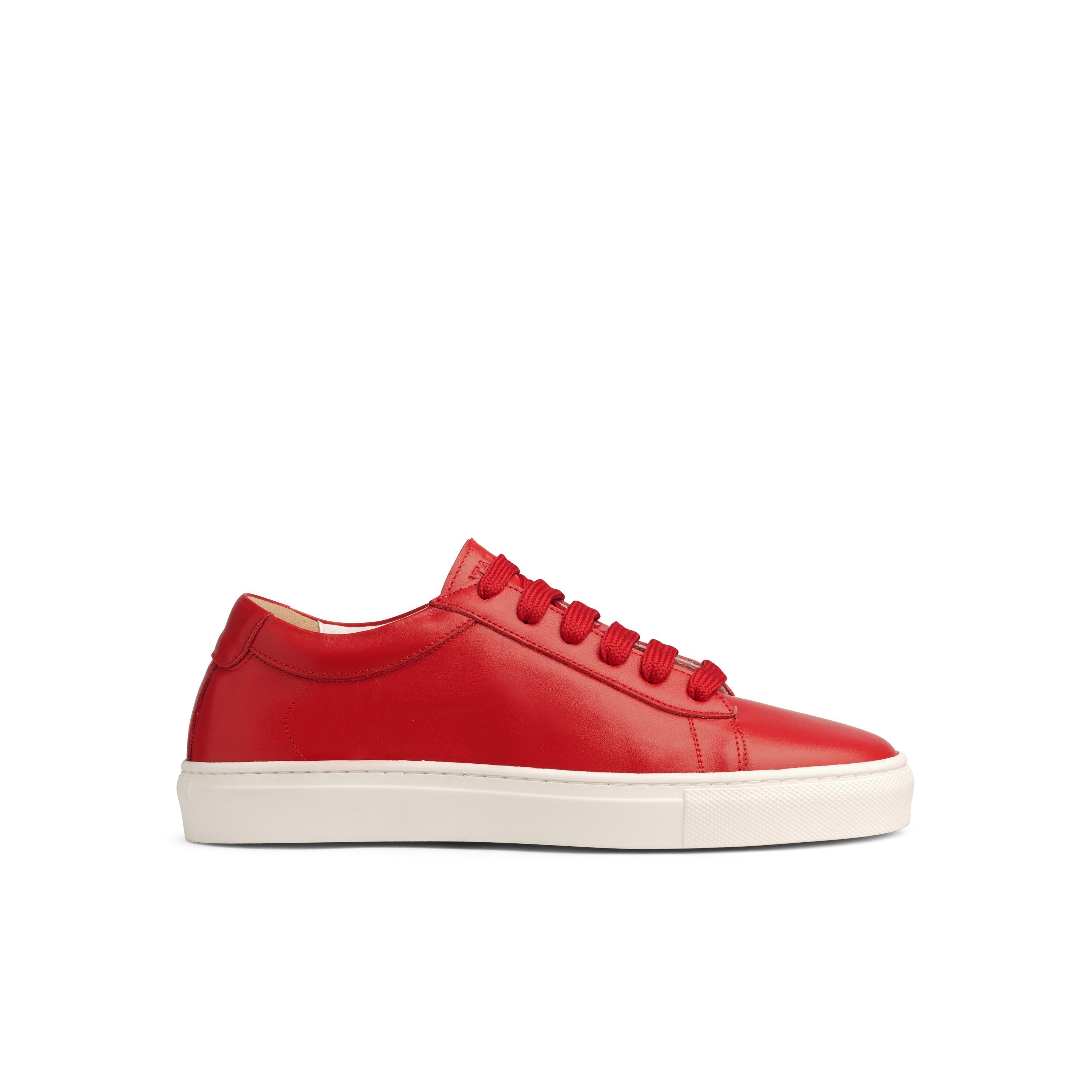 Silvia Sneakers The Brights