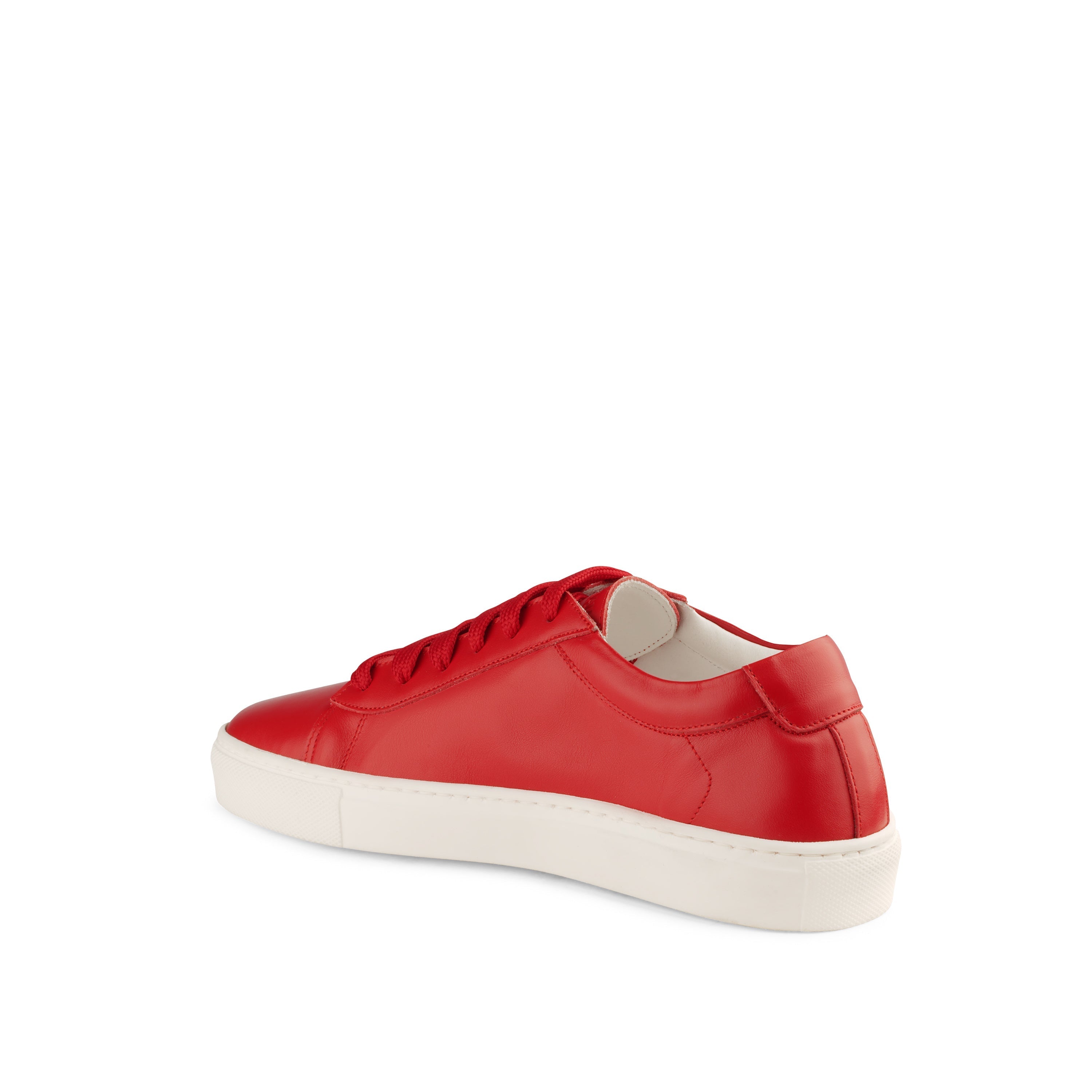 Silvia Sneakers The Brights